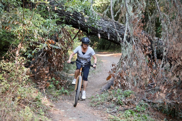 Marin Larkspur 1 gravel